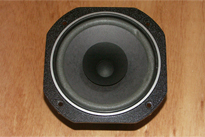 Roiene RA160